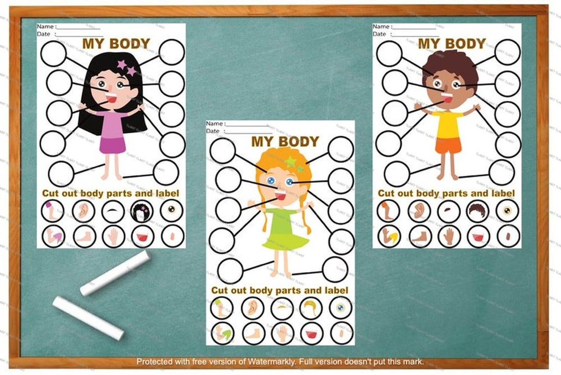 my body parts labelling activity early year nursery ks1 etsy canada