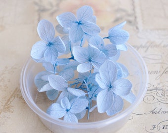 Set of small-flowered preserved hydrangea to use as filling for glass bottles and nature jewelry