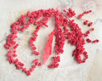 Petites fleurs rouges conservées - fleurs séchées pour l’artisanat pour e.B. bijoux naturels ou le remplissage de mini bouteilles en verre