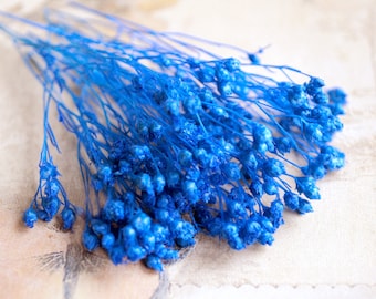 Petites fleurs conservées en bleu - fleurs séchées pour le bricolage, par exemple des bijoux naturels ou le remplissage de mini bouteilles en verre