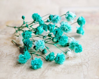 Gypsophile stabilisée turquoise à grandes fleurs. Fleurs séchées pour fabriquer des bijoux naturels ou remplir des mini bouteilles en verre