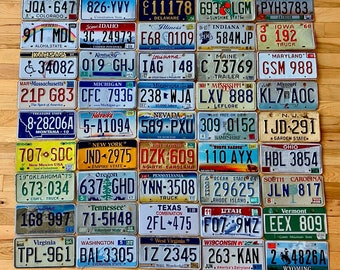 Complete Set of 50 State US License Plates (Craft Condition)