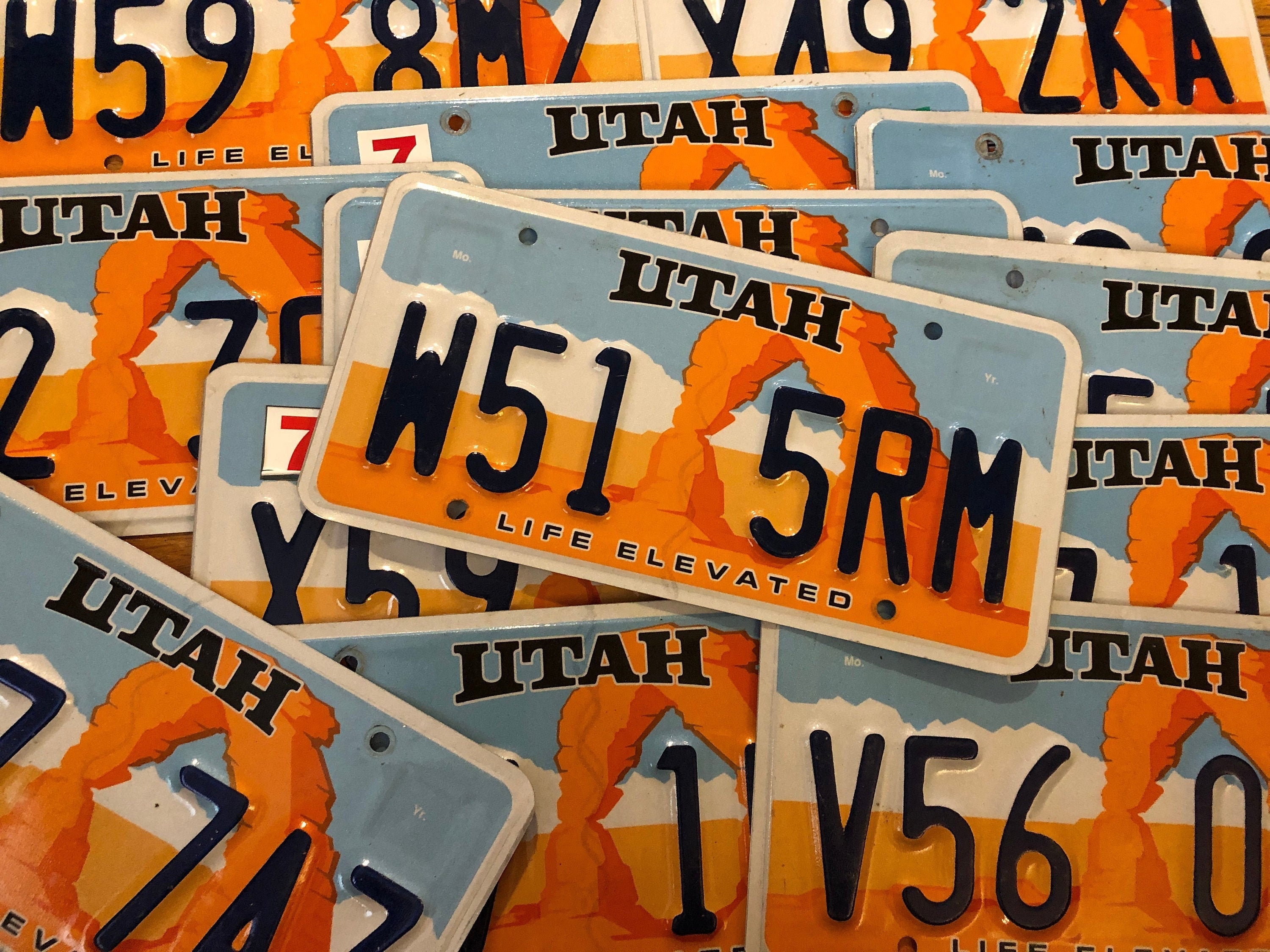 MVLS :: License Plate Custom Manufacture & Design