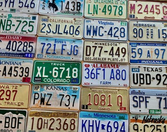 Vintage Starter Pack of 10 License Plates from 10 Different States in Craft Condition - 20 Years or Older