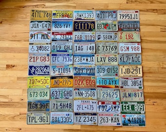 50 State Set of US License Plates in Craft Condition