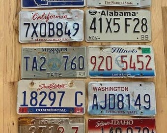 10 Roadkill Condition License Plates for Arts and Crafts