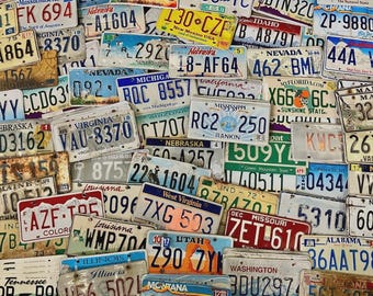 Bulk Lot of 100 Roadkill Condition License Plates From At Least 30 States