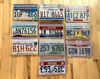 Wholesale Lot of 50 License Plates from 10 Different States - 5 of Each State