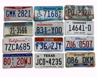 Pack of 12 Craft Condition License Plates from 12 States for Art Projects