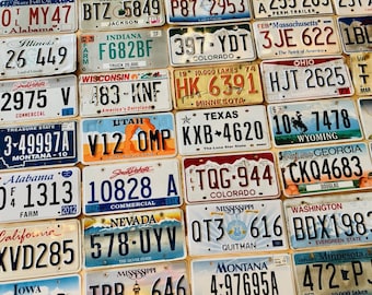 Starter Pack of 10 License Plates from 10 Different States in Craft Condition