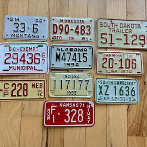ヴィンテージ 50 州アメリカナンバープレートコレクション（良好な状態