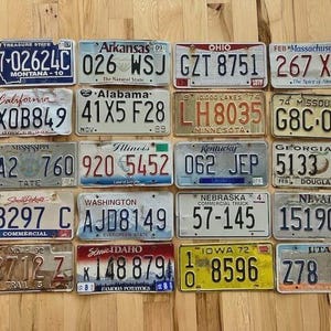 ヴィンテージ 50 州アメリカナンバープレートコレクション（良好な状態