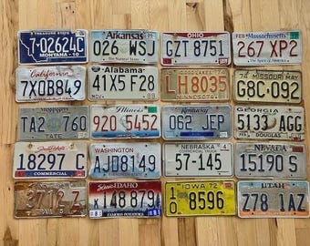 20 Roadkill Condition License Plates for Arts and Crafts