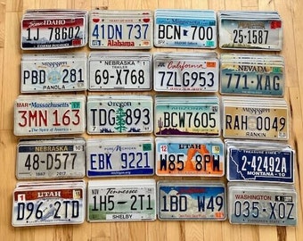 Bulk Set of 100 License Plates- 20 Versions, 5 of Each in Craft Condition
