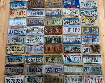 50 Roadkill Condition License Plates from at least 30 Different States