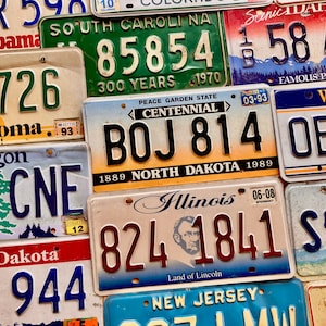 Embossed Authentic License Plates in Craft/Worn Condition - All States Available + USVI, DC, Caribbean, Mexico, Canada & More!