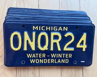 10 Set of 2021 Base Michigan Winter Wonderland License Plates In Craft Condition