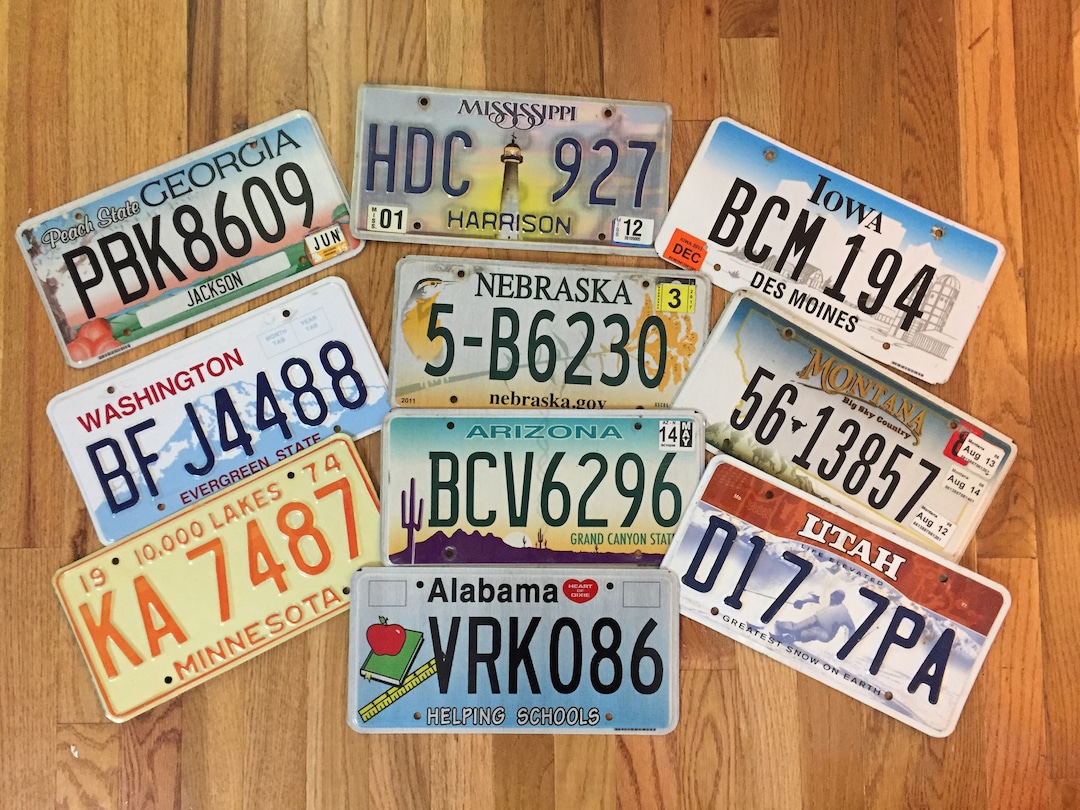 Set of Kids Themed License Plates From 10 Different States Etsy