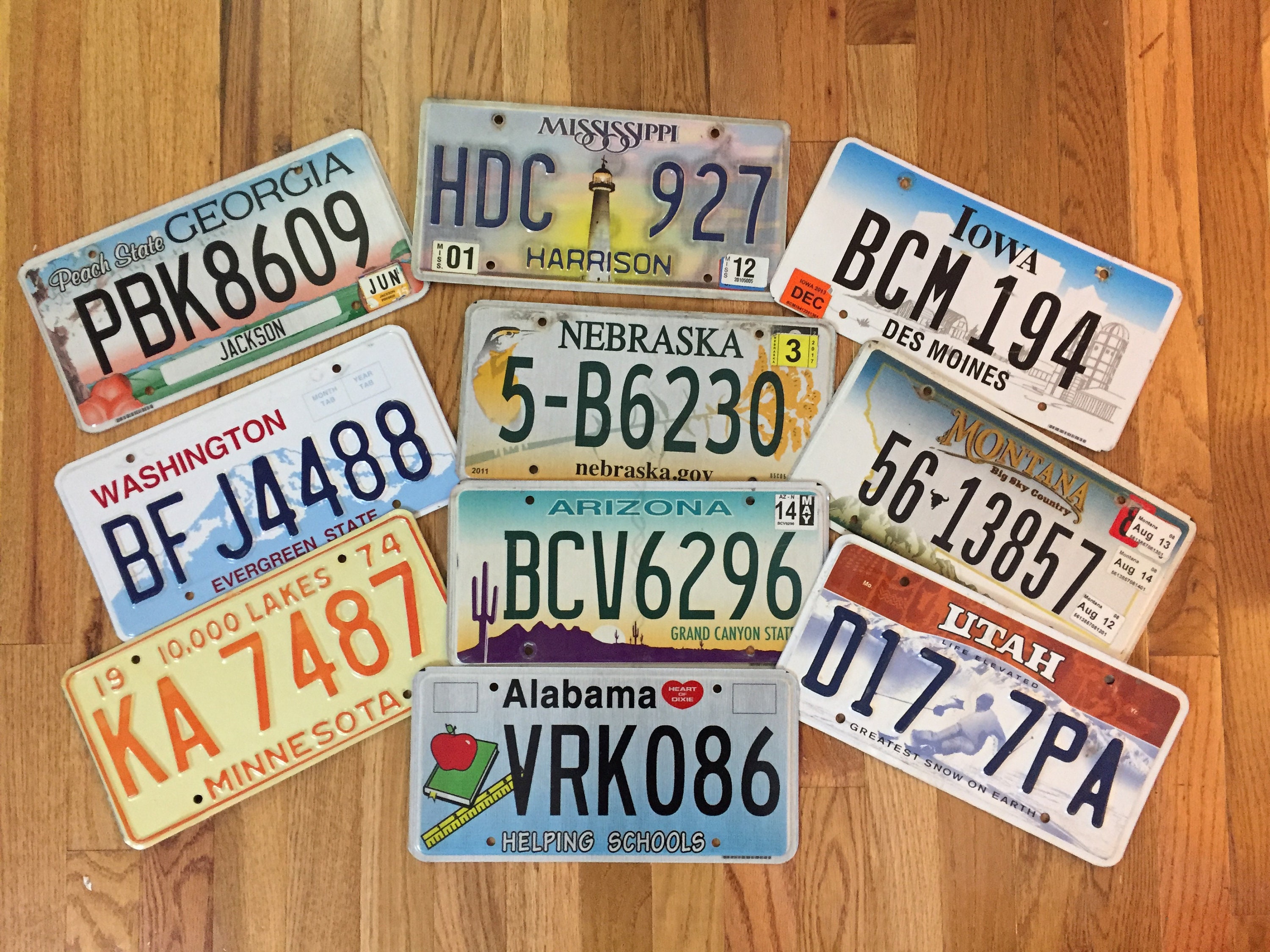 Set of Kids Themed License Plates from 10 Different States Etsy
