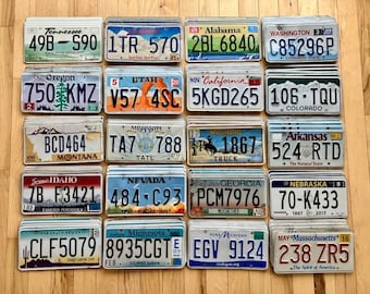 Lot of 100 License Plates- 20 Different States, 5 of Each in Craft Condition