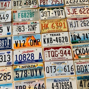 Pacote inicial com 10 placas de 10 estados diferentes em condições artesanais
