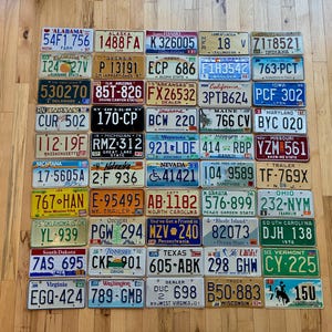 ヴィンテージ 50 州米国ナンバープレートセット（クラフト状態） - 20