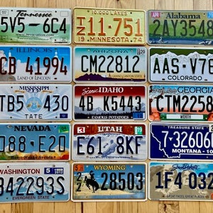 Conjunto de 15 placas coloridas de 15 estados diferentes