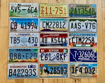 Set of 15 Colorful License Plates from 15 Different States