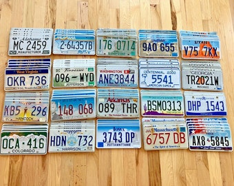 Bulk Lot of 100 License Plates- 20 Versions, 5 of Each in Craft Condition