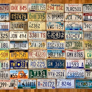 50 State Set of License Plates plus a USVI, DC, & AmSam License Plate - Craft Condition