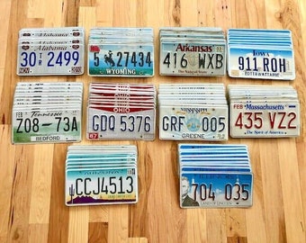 Bulk Lot of 100 License Plates- 10 of Each State in Craft Condition