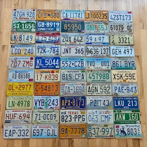 Zestaw zabytkowych 50 tablic rejestracyjnych stanów USA w stanie rzemieślniczym – 20 lat lub więcej