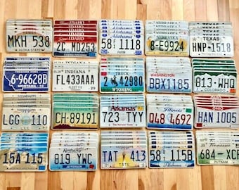 Bulk Set of 100 License Plates- 20 Versions, 5 of Each in Craft Condition