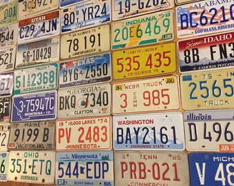 Starter pack of 10 License Plates From 10 Different States In Good Condition