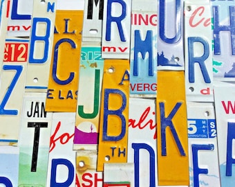 Pick Your Letters -Flat and Embossed License Plate Letters and Numbers for Signs and Arts and Craft Projects