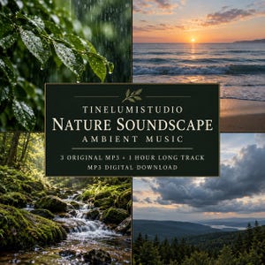 May include: A digital download product cover featuring four nature scenes: rain on green leaves, a sunset over the ocean, a mossy forest stream, and a cloudy mountain landscape. The central text reads: TINELUMISTUDIO NATURE SOUNDSCAPE AMBIENT MUSIC.