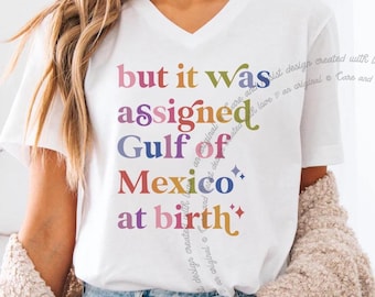 But It Was Assigned Gulf of Mexico at Birth Vneck, Gulf of Mexico V-Neck, Anti Gulf of America Shirt, Gulf of Mexico V-neck Tshirt Protest
