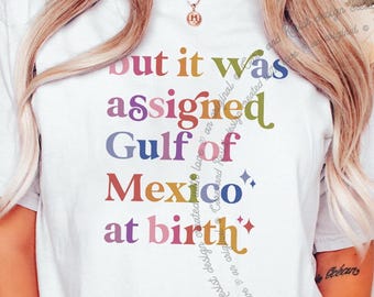 But It Was Assigned Gulf of Mexico at Birth, Gulf of Mexico Shirt, Anti Gulf of America Shirt, Gulf of Mexico Comfort Colors Tshirt Protest