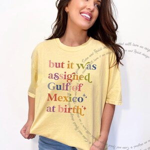 Team Gulf of Mexico America golfo de anti trump democrat liberal shirt tee t-shirt shirt tshirt apparel gift anti-fascist fascist fascism fragile masculinity 1569 dissent anti-elon elon musk deport progressive woke political support immigrants immigration rainbow colorful font words letter design retro vintage cute girly funny joke girl trans transgender support pronoun they them