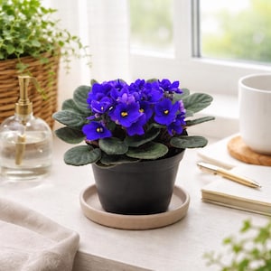 May include: A rustic wooden sign with the text "Welcome to our home" in white lettering. The sign features a distressed finish and a simple, inviting design, perfect for a front porch or entryway.