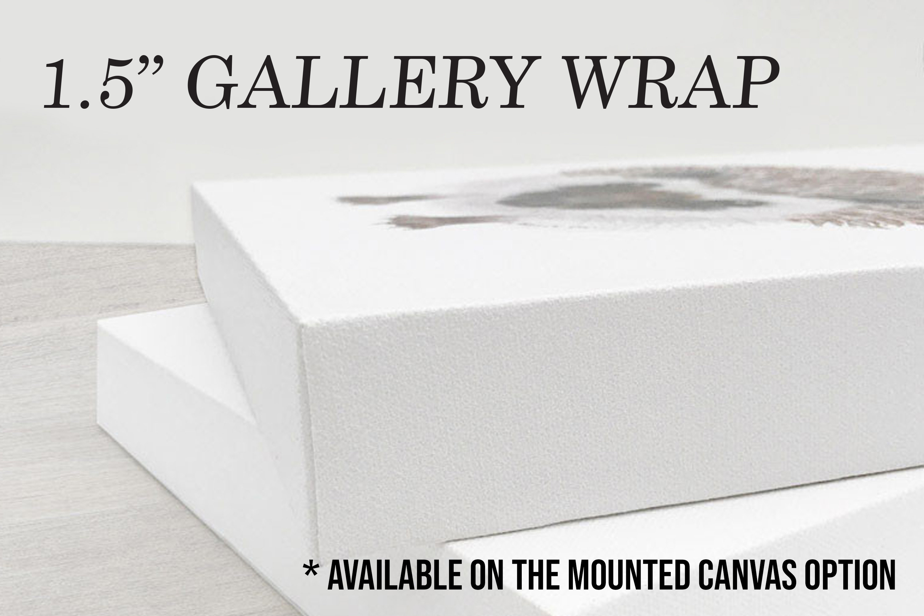 Jiu Jitsu Snake Mounted Canvas - BJJ Wall Art - Brazilian - Belt