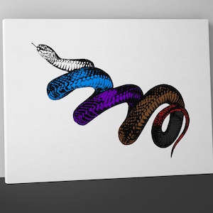Jiu Jitsu Snake Mounted Canvas - BJJ Wall Art - Brazilian - Belt Colors - Gift Jujitsu Martial Arts
