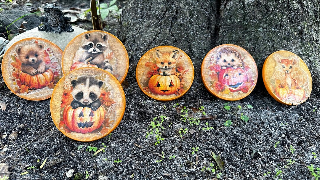 Woodland Creatures Forest Animal Pumpkins Handcrafted - Etsy