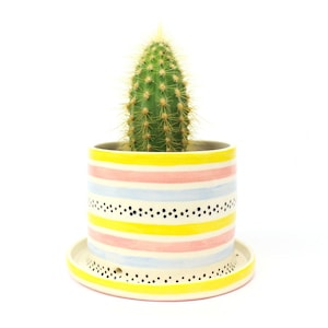 MADE TO ORDER: Stripe Planters
