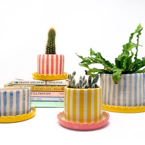 May include: A collection of colorful ceramic planters with vertical stripes and scalloped edges. The planters are in various colors, including red, yellow, and blue, and are filled with cacti and other plants. The planters sit on matching saucers.