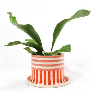 MADE TO ORDER: Candy Stripe Planters