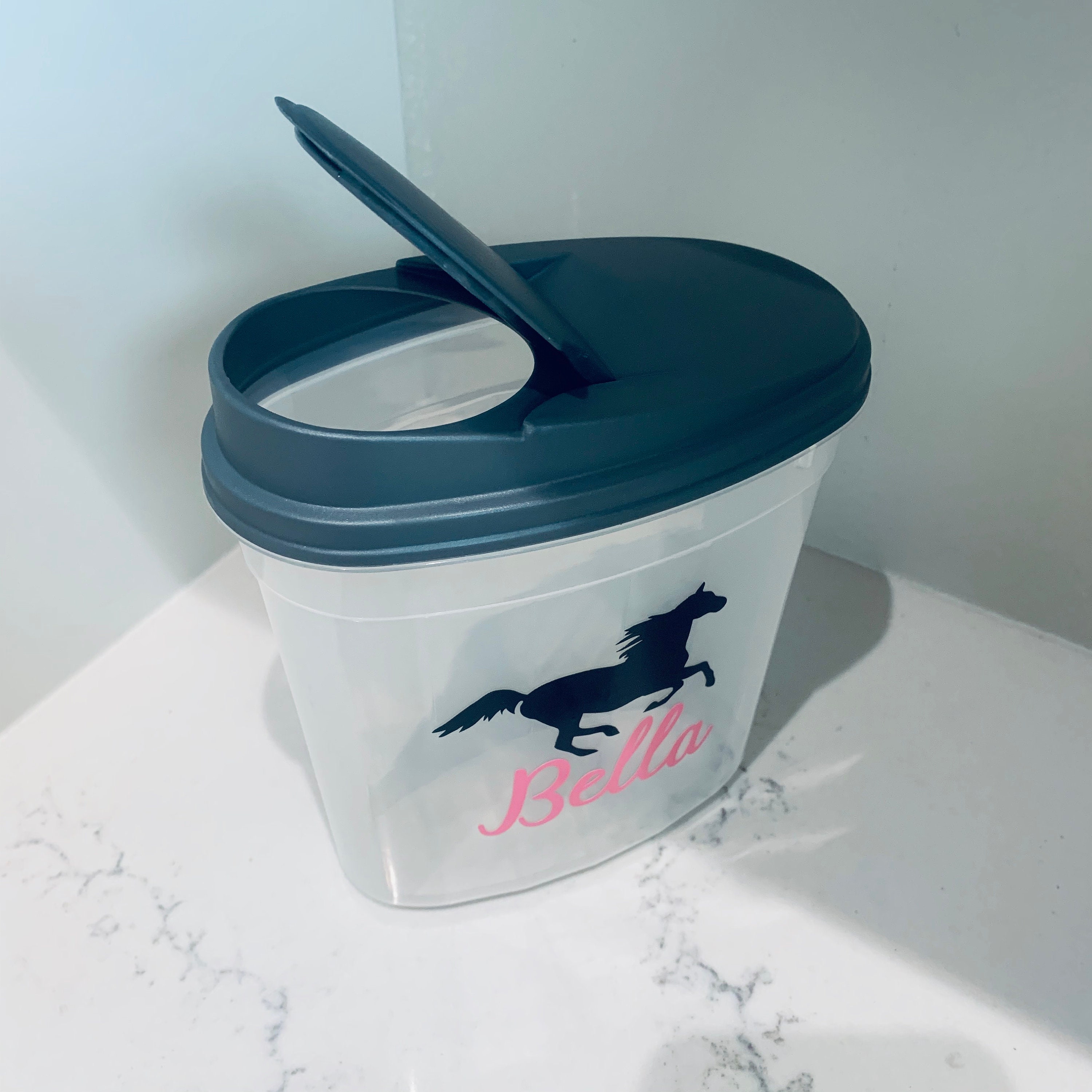 Galloping Horse Treat Container Treat Container Equestrian Etsy