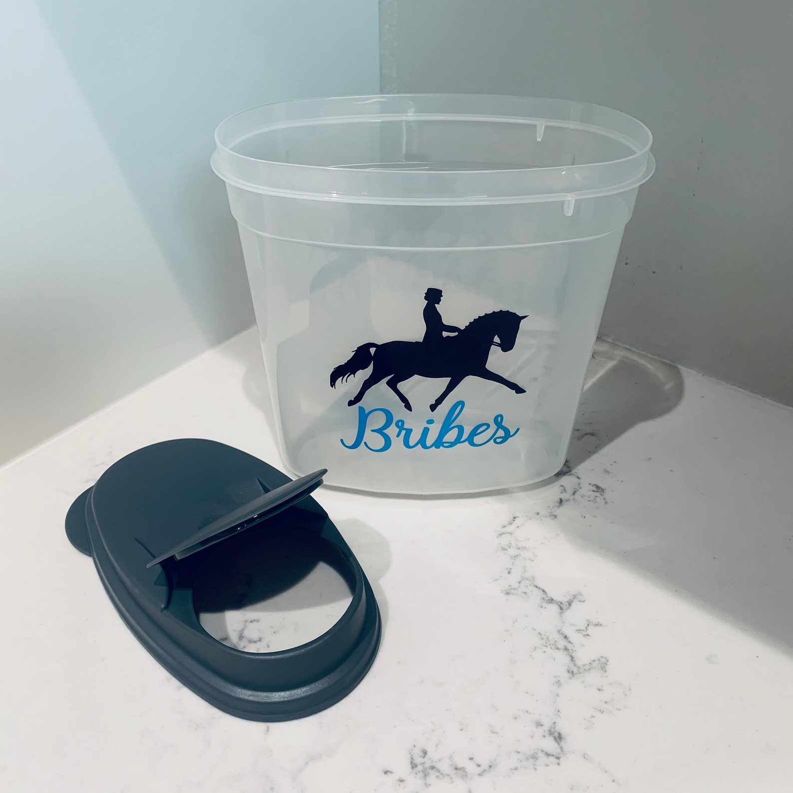 Dressage Horse Treat Container Treat Container Equestrian Etsy
