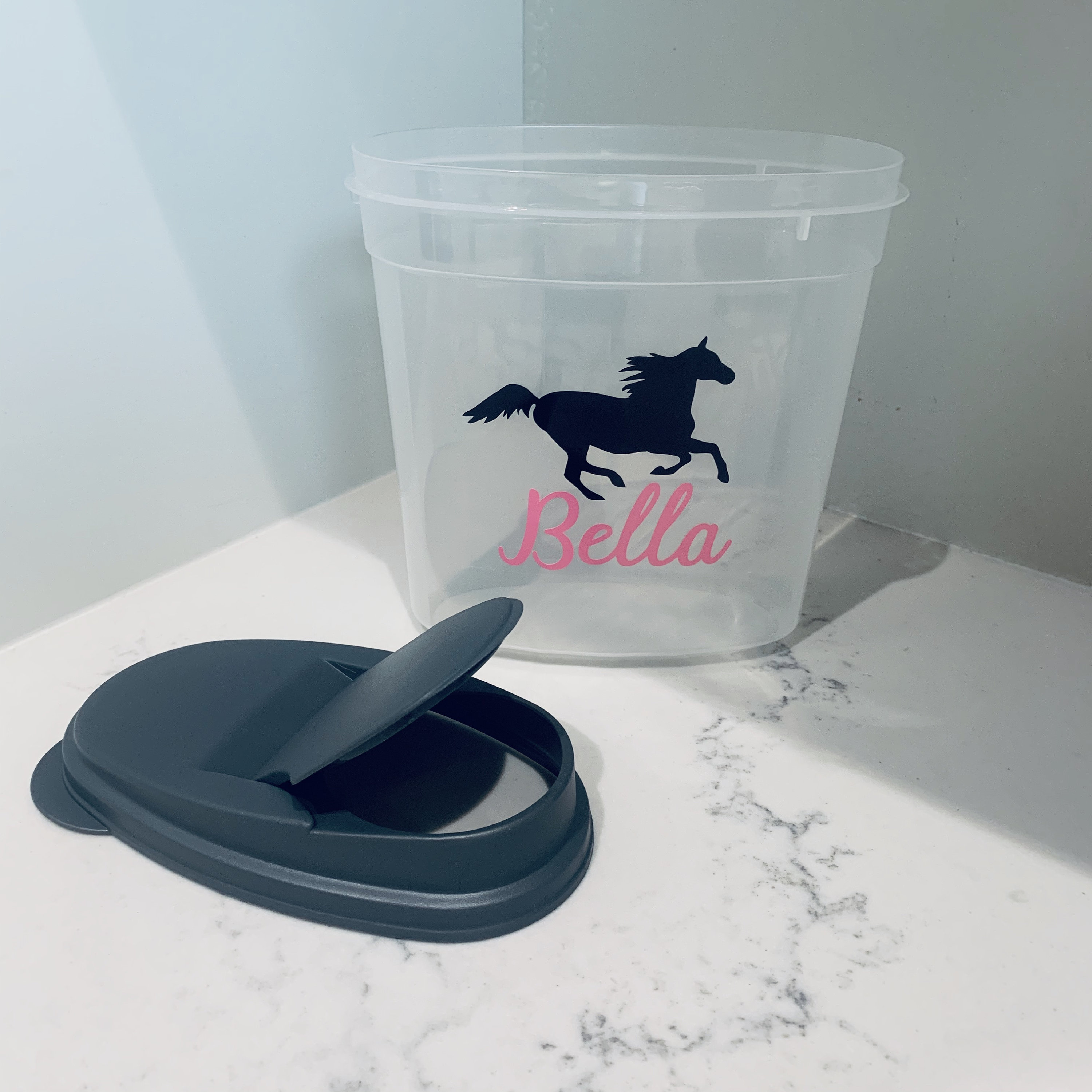 Galloping Horse Treat Container Treat Container Equestrian Etsy