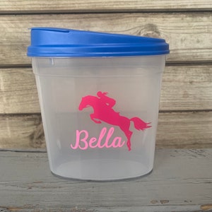 Jumper Horse Treat Container, Treat Container, Equestrian Gift, Horse Gifts, Horse Treats, Horse Show Supplies, Horse Supplies, Barn Gifts